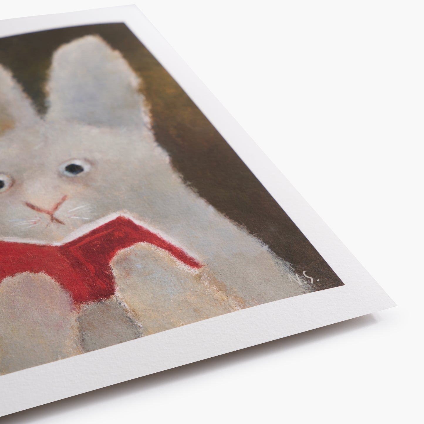 Rabbit With the Book